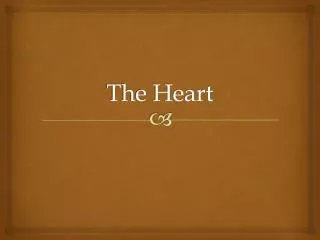 The Heart