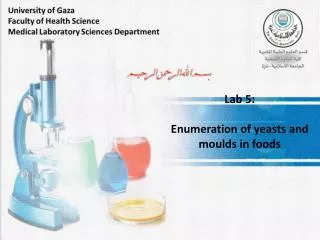 Lab 5: Enumeration of yeasts and moulds in foods
