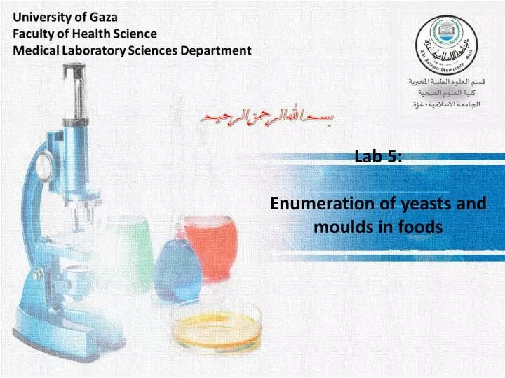 lab 5 enumeration of yeasts and moulds in foods