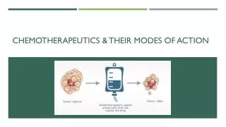 Chemotherapeutics &amp; Their Modes of Action