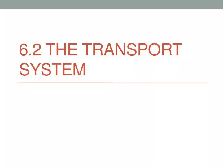6 2 the transport system