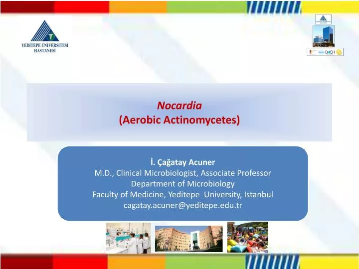 nocardia aerobic actinomycetes