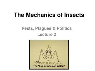 The Mechanics of Insects