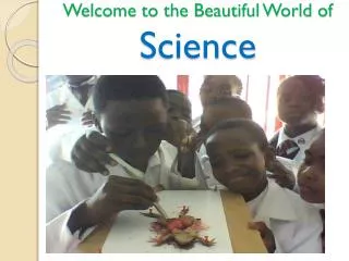 Welcome to the Beautiful World of Science