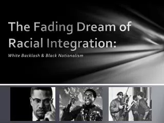 The Fading Dream of Racial Integration: