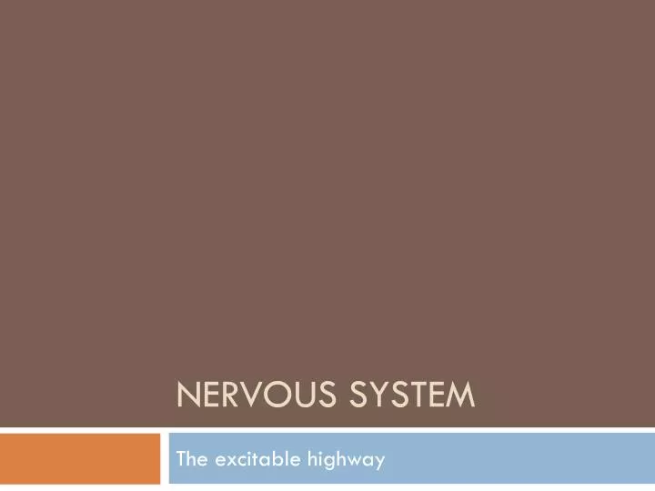 PPT - Nervous System PowerPoint Presentation, Free Download - ID:2000988