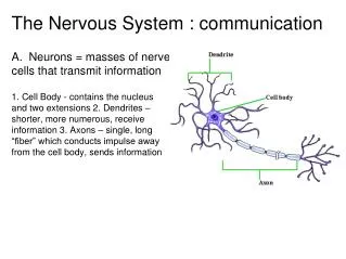 The Nervous System : communication