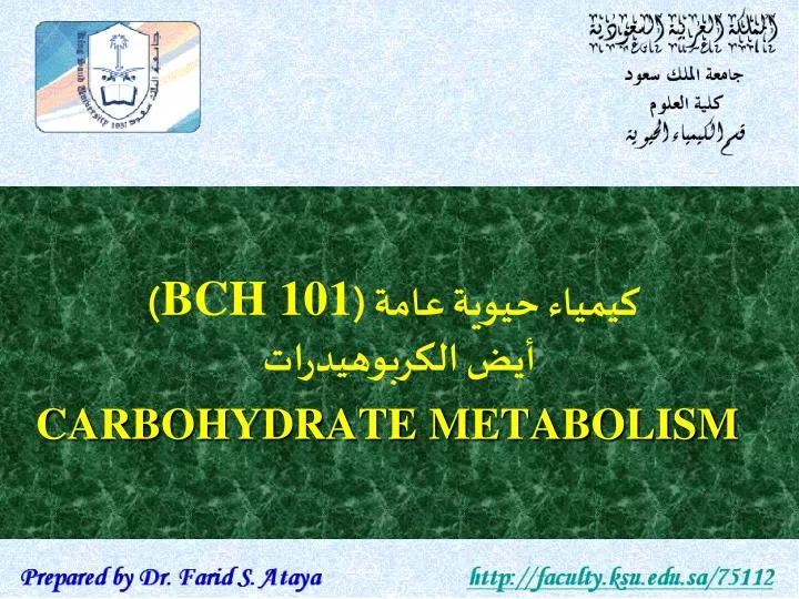 bch 101 carbohydrate metabolism