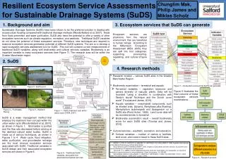 Resilient Ecosystem Service Assessments for Sustainable Drainage Systems ( SuDS )