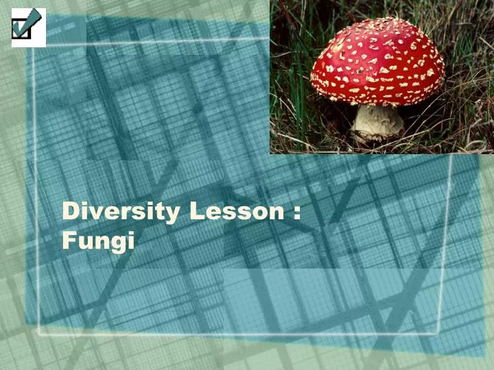 diversity lesson fungi
