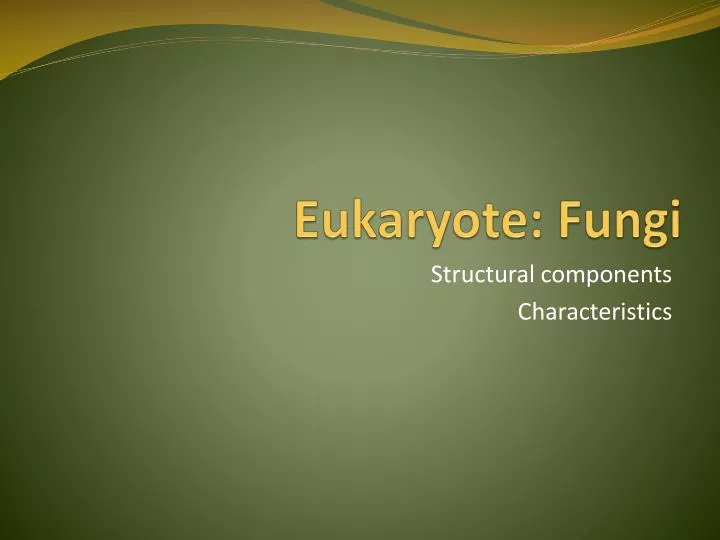 eukaryote fungi