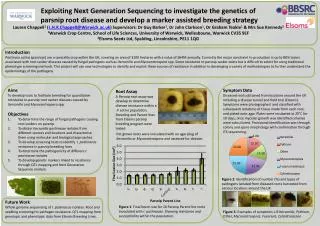 Exploiting Next Generation Sequencing to investigate the genetics of