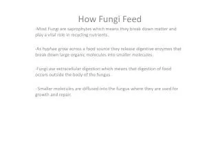 How Fungi Feed