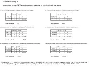 Supplementary Fig. 1