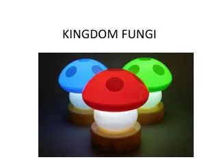 kingdom fungi