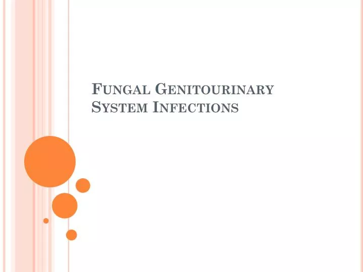 fungal genitourinary system infections