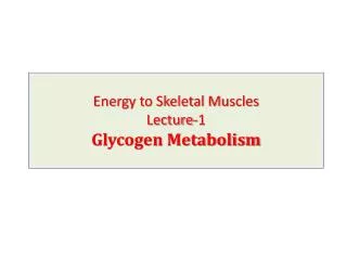 energy to skeletal muscles lecture 1 glycogen metabolism