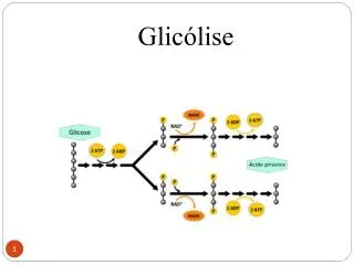 glic lise