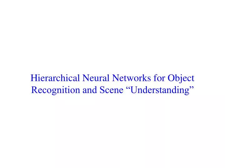 hierarchical neural networks for object recognition and scene understanding