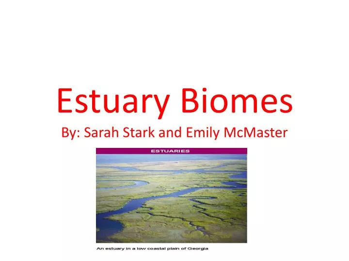estuary biomes by sarah stark and emily mcmaster
