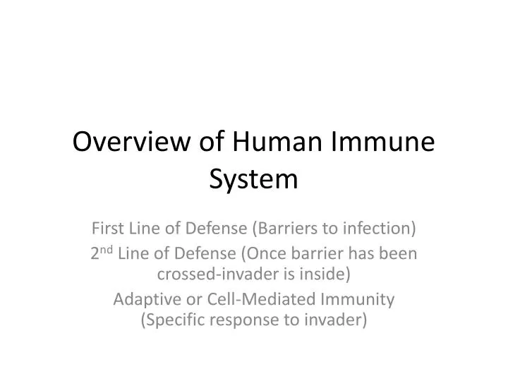 overview of human immune system