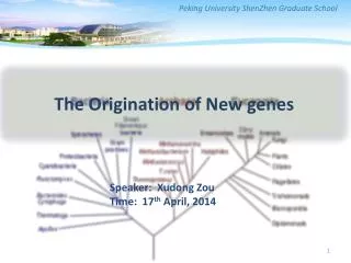 The Origination of New genes
