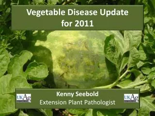 Vegetable Disease Update for 2011