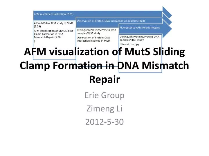 afm visualization of muts sliding clamp formation in dna mismatch repair