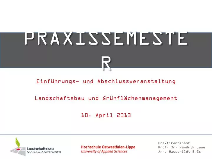 praxissemester