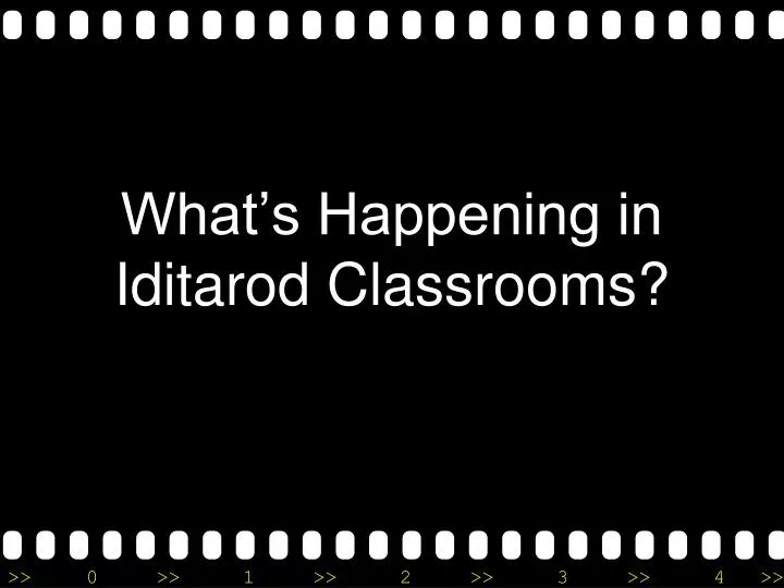 what s happening in iditarod classrooms