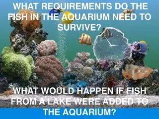 WHAT REQUIREMENTS DO THE FISH IN THE AQUARIUM NEED TO SURVIVE?