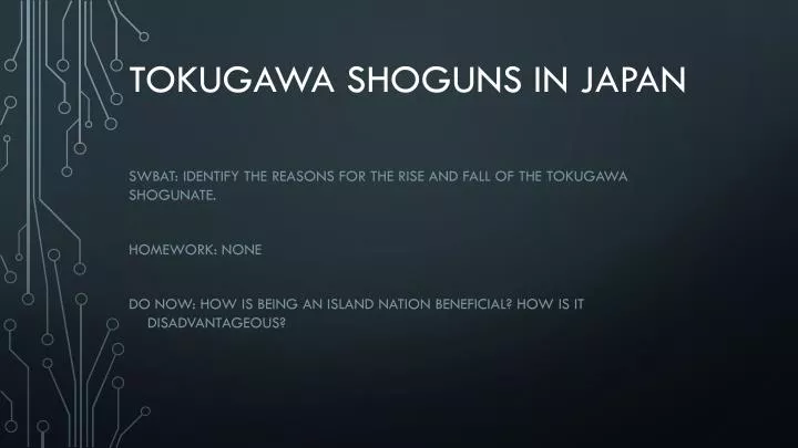 tokugawa shoguns in japan