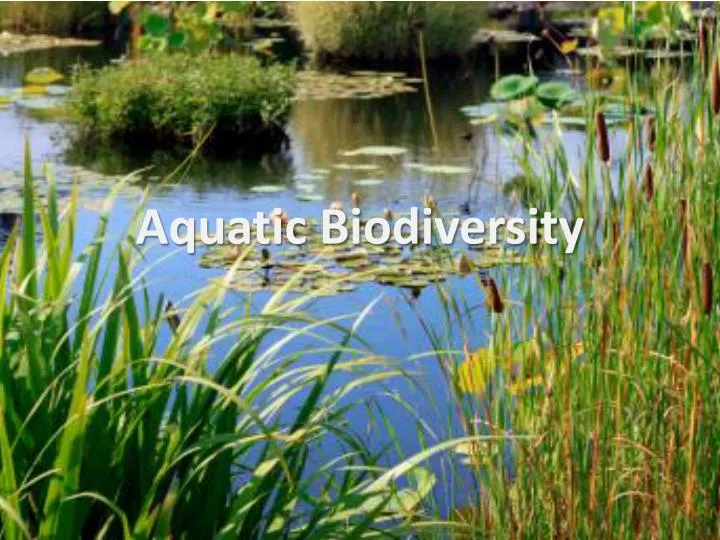 aquatic biodiversity