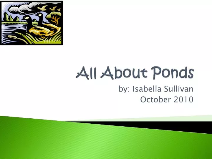 all about ponds