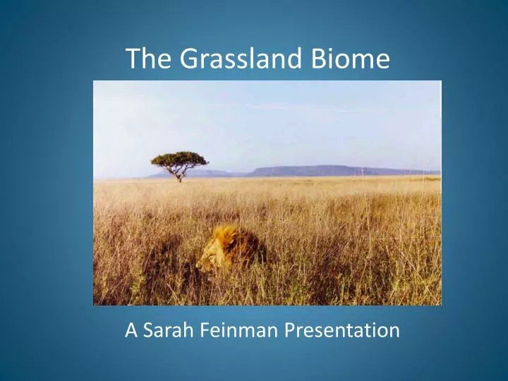 the grassland biome