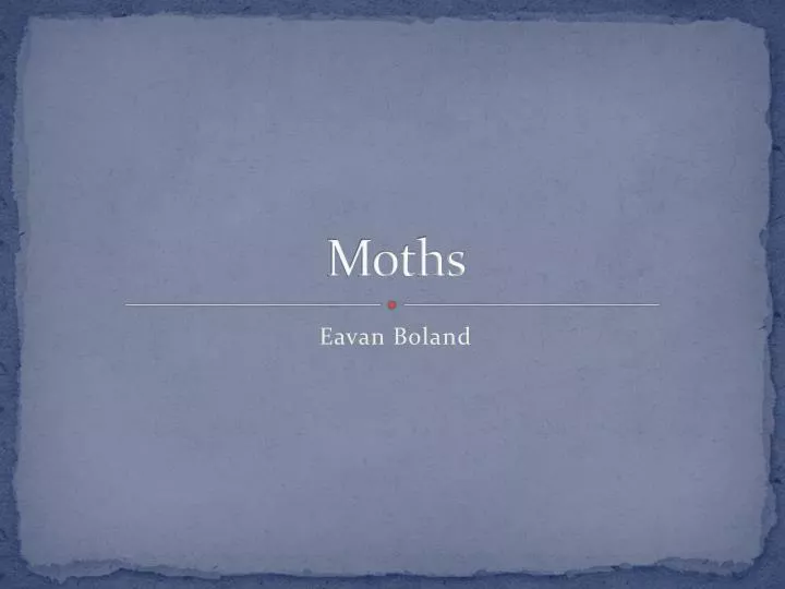 moths