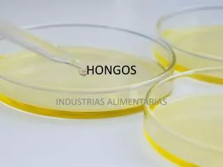 hongos