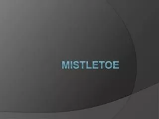 mistletoe