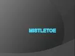 Mistletoe - slide 1