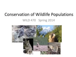 Conservation of Wildlife Populations