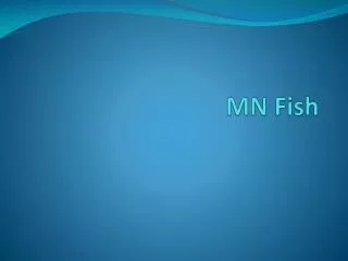 MN Fish