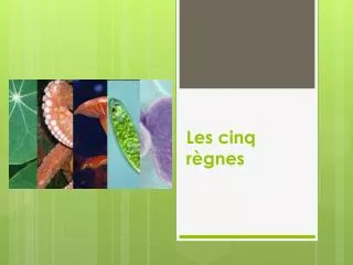 les cinq r gnes