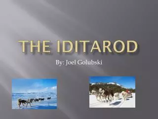 The Iditarod