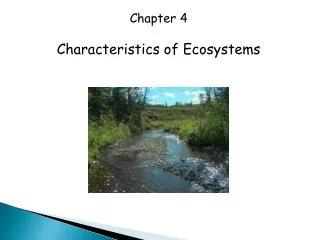 Chapter 4 Characteristics of Ecosystems