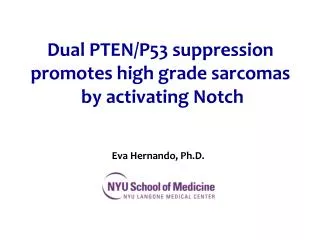 Dual PTEN/P53 suppression promotes high grade sarcomas by activating Notch