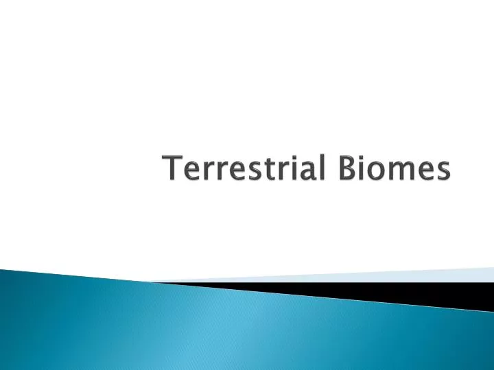 terrestrial biomes