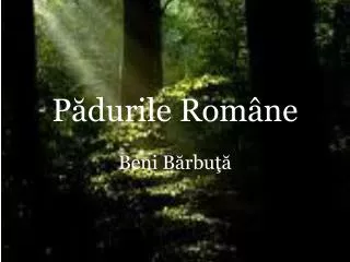 p durile rom ne