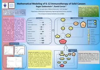 Mathematical Modeling of IL-12 Immunotherapy of Solid Cancers