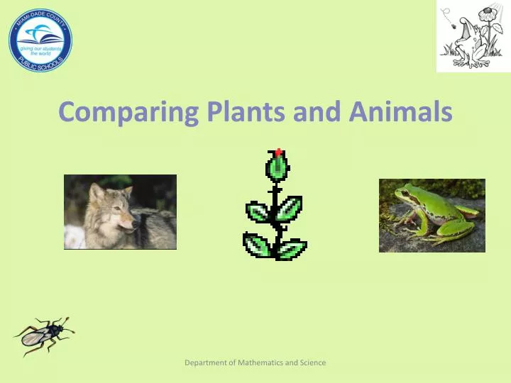comparing plants and animals