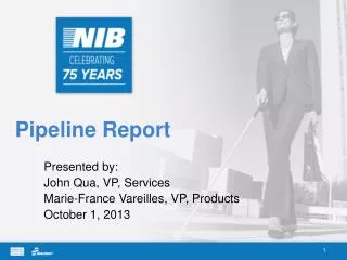 Pipeline Report